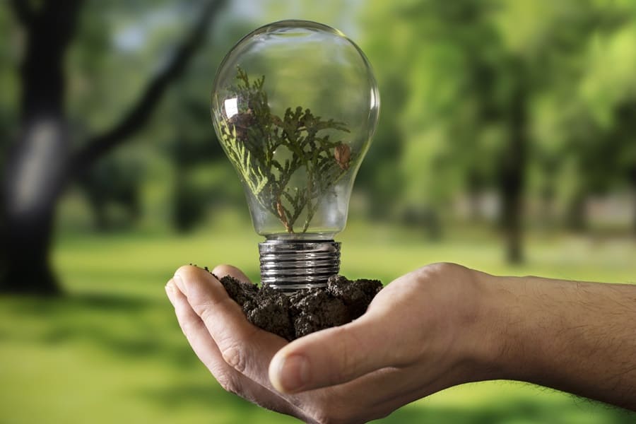 Día Mundial del Ahorro de Energía: cómo ahorrar luz