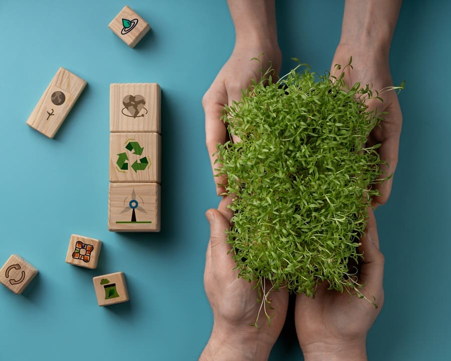 Cómo ser sostenible de verdad y no solo parecerlo